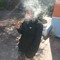 Angel Dust