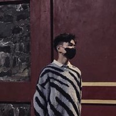 Phan Ha Vu Linh