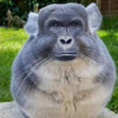 Samuele