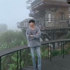 Lưu Thế Anh
