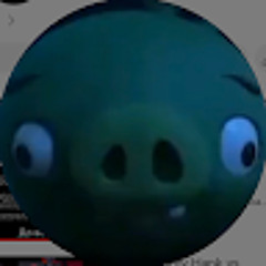 Nihut_gus