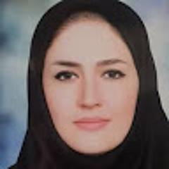 mina feizolahi