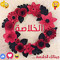 User 146856448