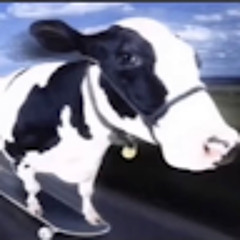 The Silly Cow