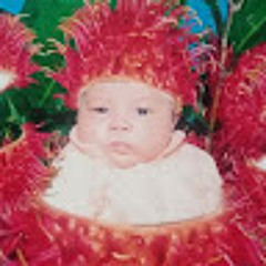 Ngọc Sơn Trần Lê