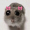 니똥꼬털