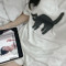 Meow