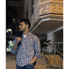 Amr Eid