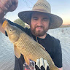 16cheeseburgerwalrus