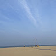 은효