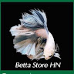 Shop Betta Store HN