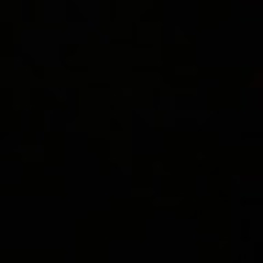 bgp213