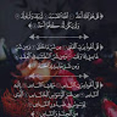 Mohamed Hany
