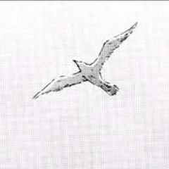 Софія Софія