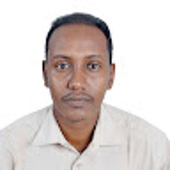 Mostafa Adel