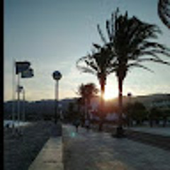 Pau Torres Fernandez