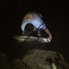 Jonathan Insixiengmay