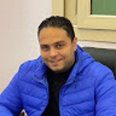 محمد الشرقاوى