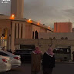Mostafa Hadhood