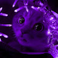 Евгений Орлов