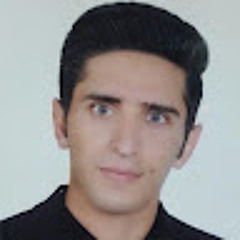 Hadi Panahi