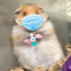 Bánh mì bơ đậu phộng