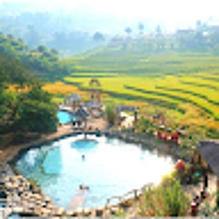 Tùng Nguyễn Hoàng