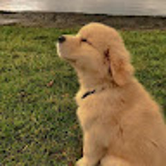 Aldo Solis Rodríguez