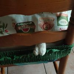 Micio Rico