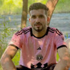 walid gomaa Emara