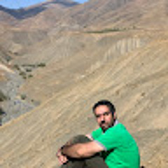 ali mahmoudian