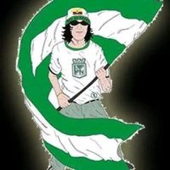 GE GE