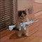 iCyCat