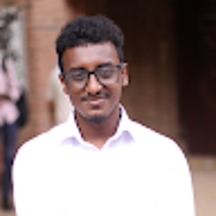 Ahmed Elfaki