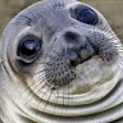 Андрей Белорус