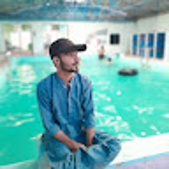 Azhermehmood7740