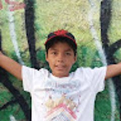 Leonardo Da Silva II