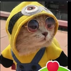 Nguyễn Xuân Hoàng