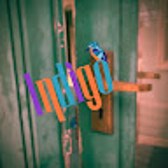 Indigo Live