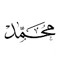 ahmed ibrahem