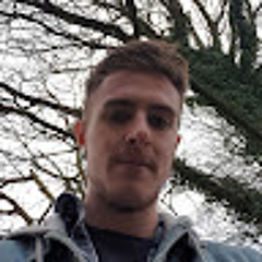 Dan Cook