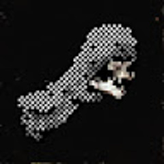 Marek Sollich (Daneskuul)