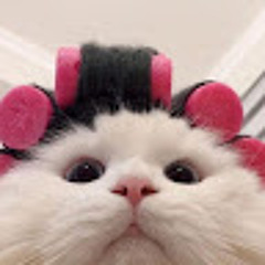 Punnaphat Prempree