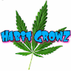 Habit Growz