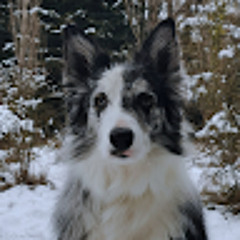 Nina• D'Alessandro