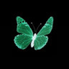 Кударов Диас