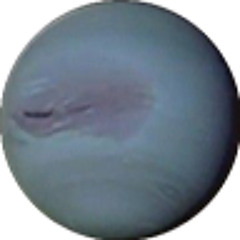 Tupi Guarani