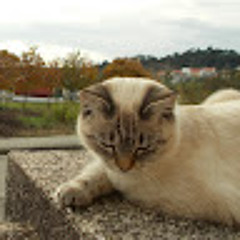 MakeFinlandGreatAgain