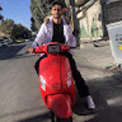 Amirhossein Ahmadpour81