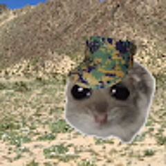 heraldfriesgaming